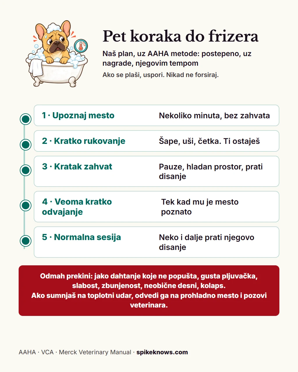 Edukativna tabla: kako da naviknete Frenchija na frizera i veterinara u pet koraka. Upoznaj mesto bez zahvata, kratko rukovanje uz tebe, kratak prijatan zahvat, veoma kratko odvajanje, pa normalna sesija. Odmah prekini kod jakog dahtanja, guste pljuvačke, slabosti, zbunjenosti, neuobičajene boje desni ili kolapsa.