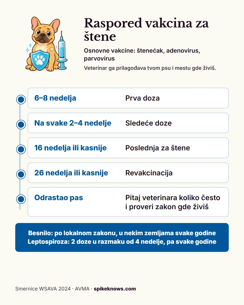 Edukativna tabla: raspored vakcina za štene po smernicama WSAVA iz 2024. Prva doza osnovnih vakcina sa 6 do 8 nedelja, zatim na svake 2 do 4 nedelje, poslednja za štene sa 16 nedelja ili kasnije, revakcinacija sa 26 nedelja ili kasnije, a za odraslog psa: pitaj veterinara koliko često i proveri zakon mesta gde živiš. Besnilo: po lokalnom zakonu, u nekim zemljama svake godine. Leptospiroza: dve doze u razmaku od 4 nedelje, pa svake godine.