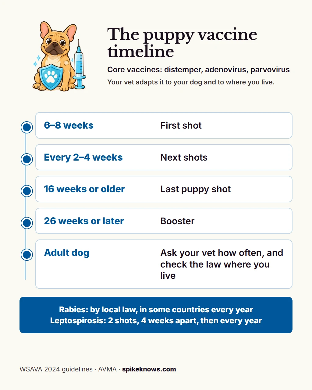 Educational plate: the puppy vaccine timeline from the WSAVA 2024 guidelines. First shot of the core vaccines at 6 to 8 weeks, then every 2 to 4 weeks, the last puppy shot at 16 weeks or older, a booster at 26 weeks or later, then, for adult dogs: ask your vet how often, and check the law where you live. Rabies: by local law, in some countries every year. Leptospirosis: two shots 4 weeks apart, then every year.