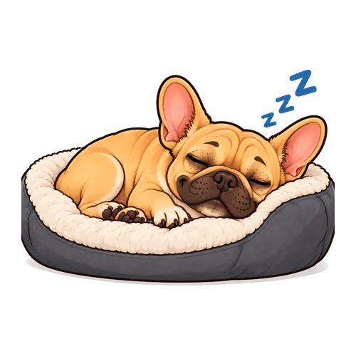 Sleep